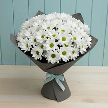 Букет белые хризантемы в Сыктывкаре Букет цветов из: Хризантемы в Сыктывкаре