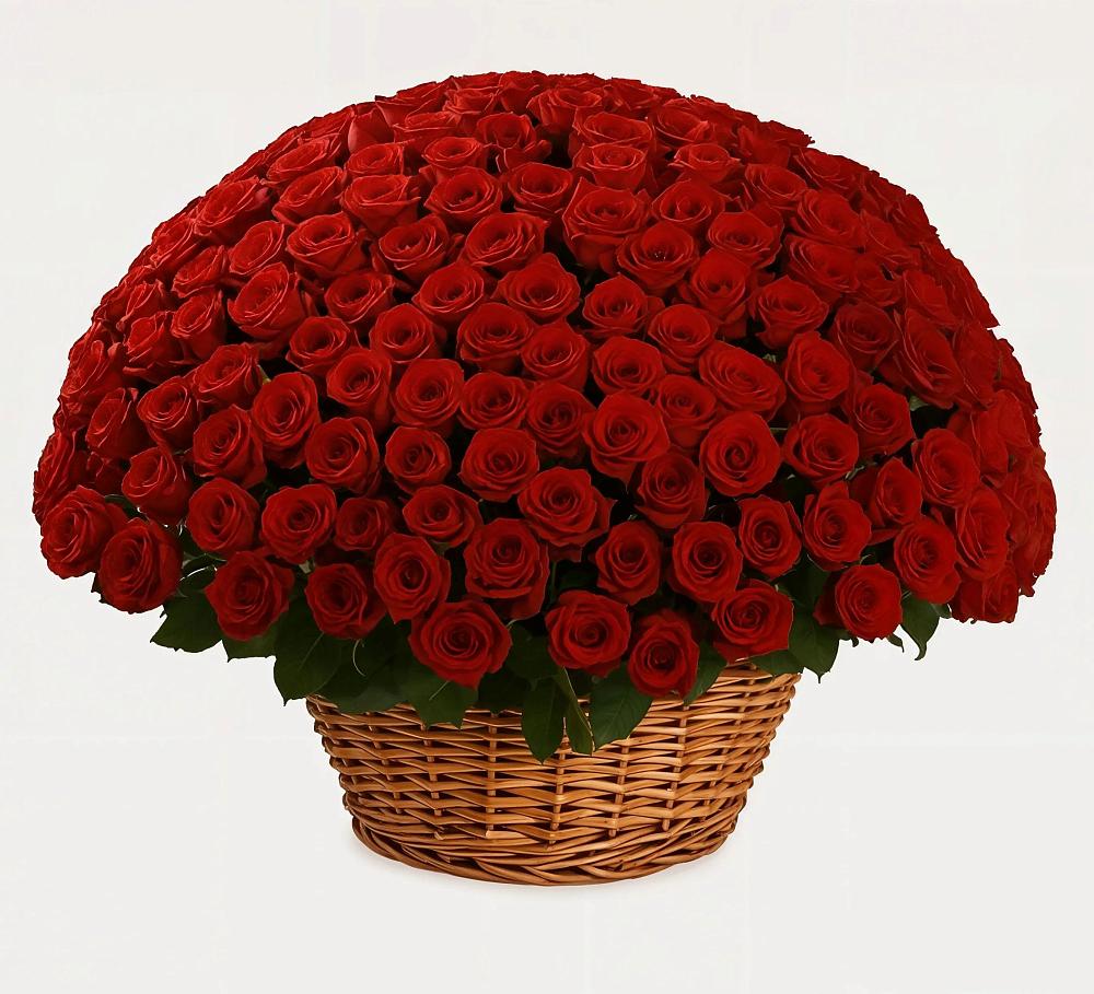 Премиум букет из: Розы в Сыктывкаре