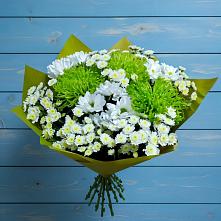 Букет цветов из:  Хризантемы в Сыктывкаре