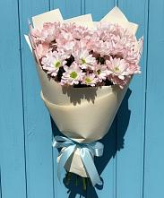 Букет цветов из:  Хризантемы в Сыктывкаре