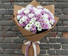 Букет цветов из:  Хризантемы в Сыктывкаре