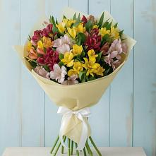 Букет цветов из:  Альстромерии в Сыктывкаре