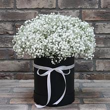 Композиция коробка гипсофил в Сыктывкаре Цветочная композиция из Гипсофила в шляпной коробке в Сыктывкаре