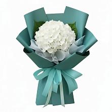 Букет цветов из:  Гортензия в Сыктывкаре